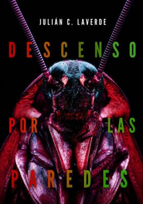 Descenso por las paredes | Julián C. Laverde